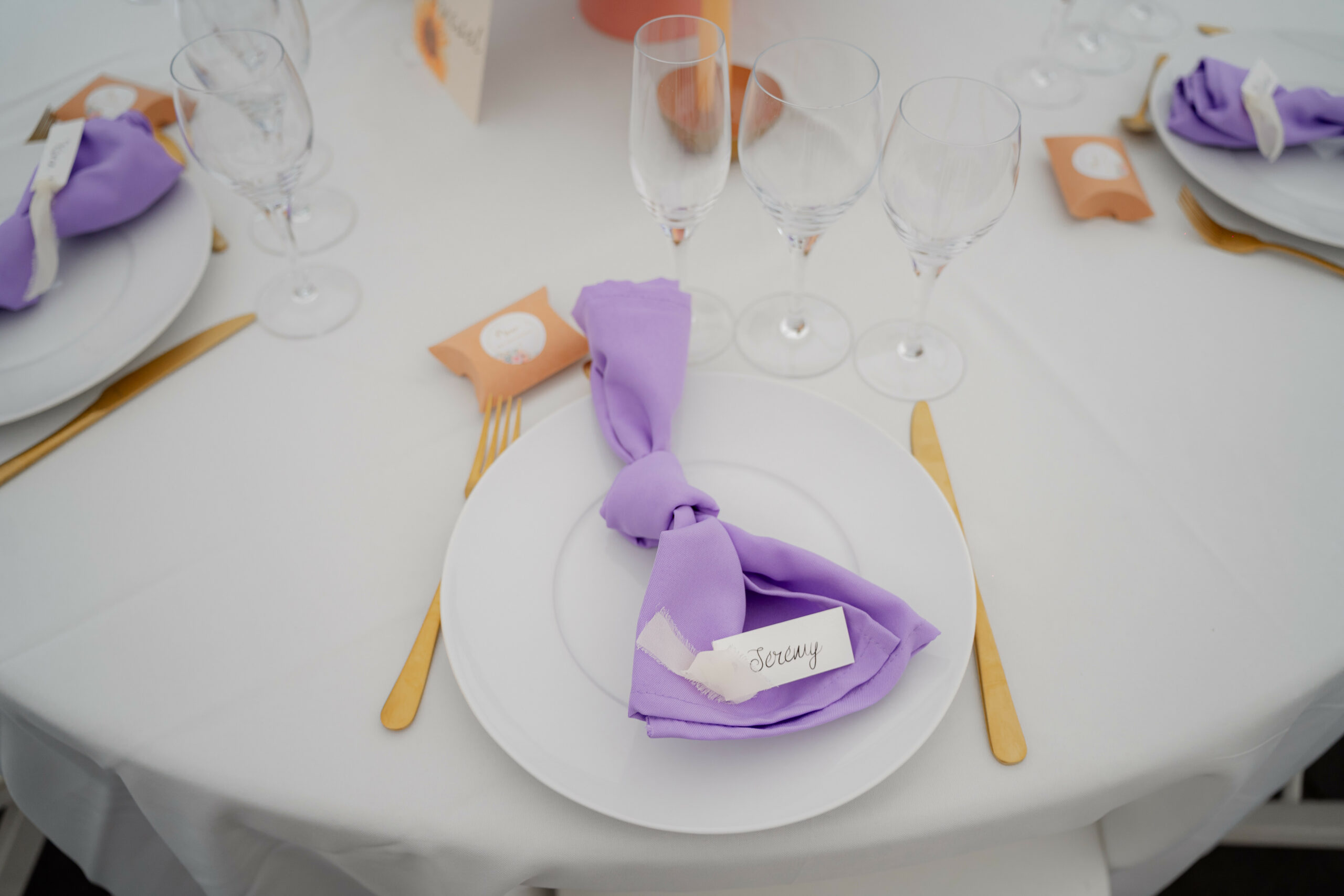 Marine & Éric - Mariage réalisé par KeepHeart Wedding planeuse, décoratrice intérieur et évenementiel à La Villa Corina, Hautes-Pyrénées - Crédit photo : Flora Pascal